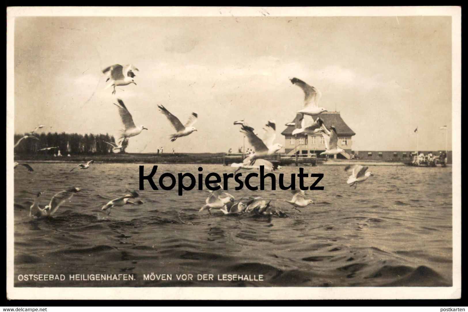 ALTE POSTKARTE OSTSEEBAD HEILIGENHAFEN 1928 MÖVEN VOR DER LESEHALLE Möwen Möwe Postcard AK Cpa Ansichtskarte - Heiligenhafen