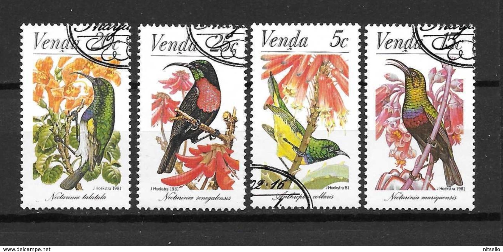 LOTE 1414  ///   VENDA  AVES - Venda