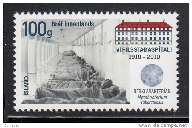 Iceland 2010 MNH Scott #1209 Vifilsstadir TB Sanatorium 100th Anniversary - Ungebraucht