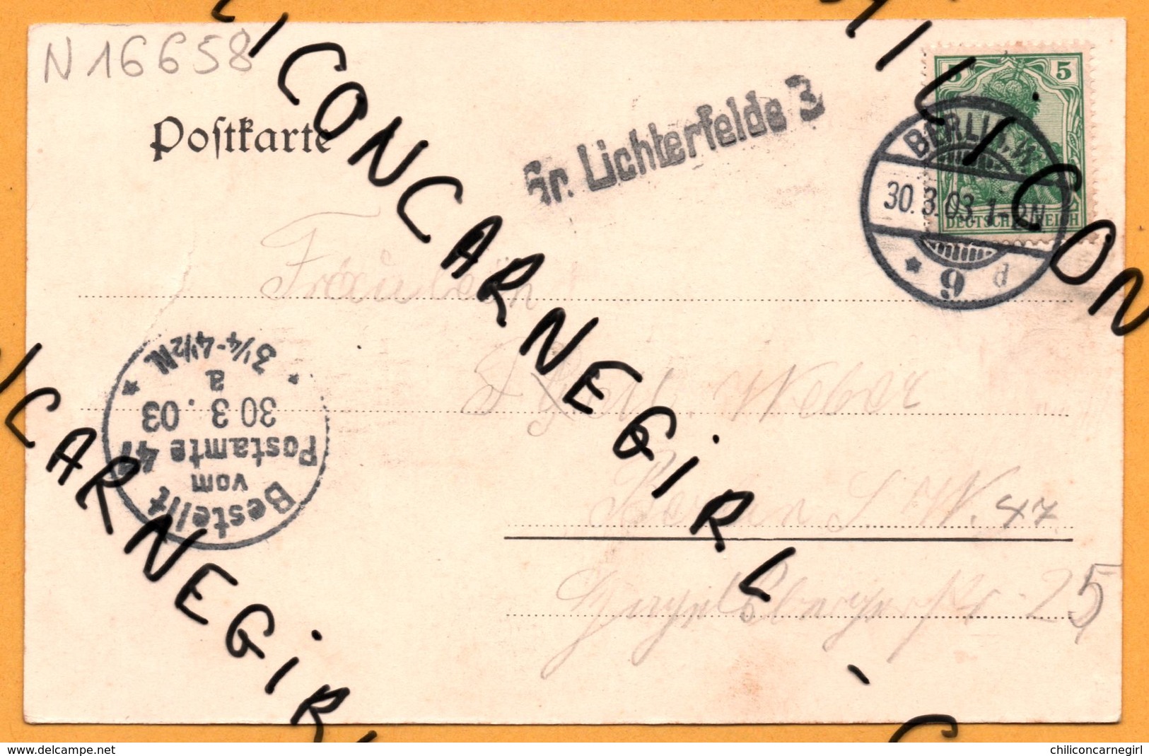 Gross Lichterfelde - Haupt Portal Der Kadetten Anstalt - Oblit. Bestellt Vom Postamte 47 30.3.03 - Griffe Lichterfelde 3 - Lichterfelde