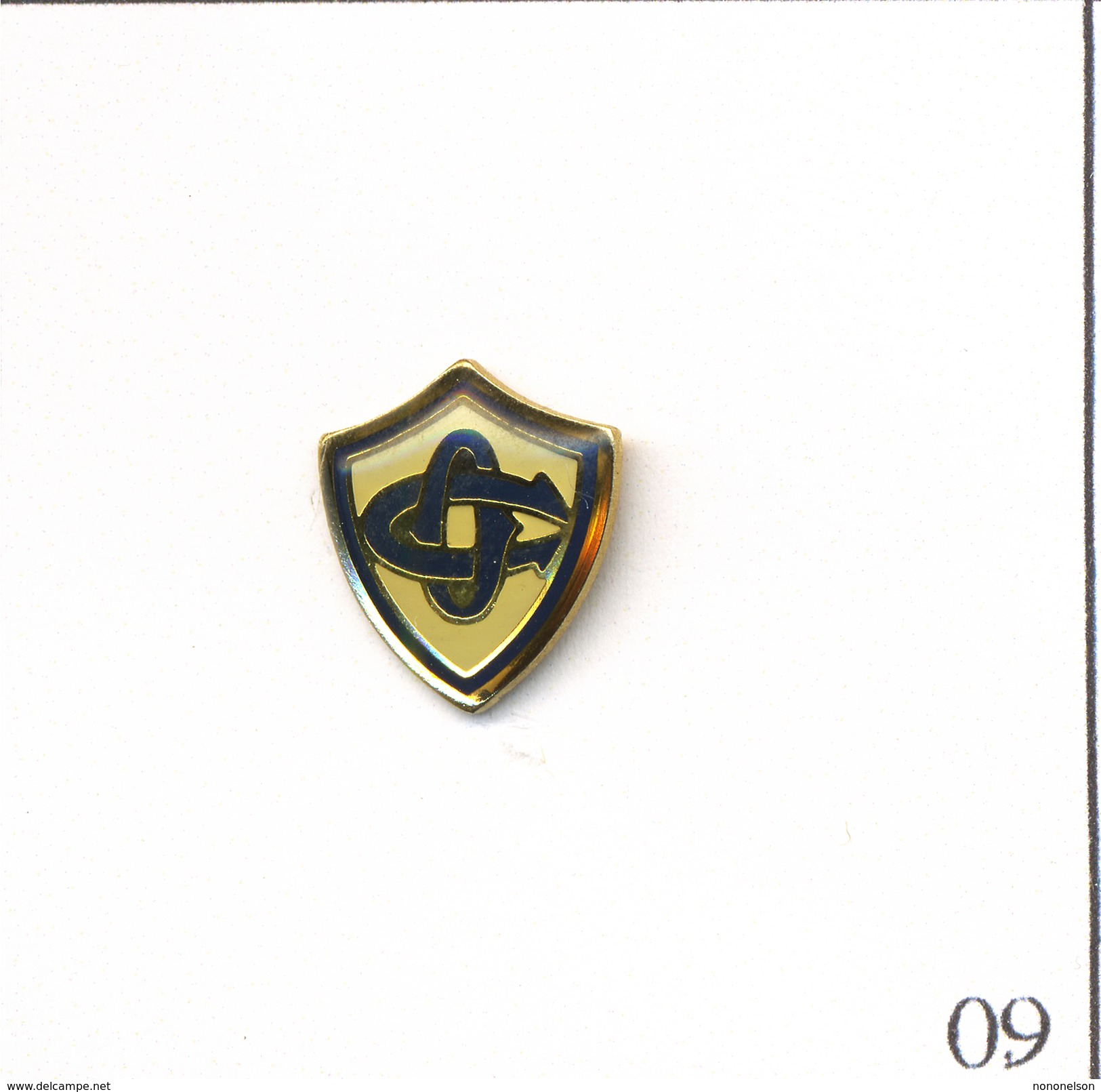 Pin's Sport - Rugby / Logo Castres Olympique (81). Non Estampillé. Epoxy. T539-09 - Rugby