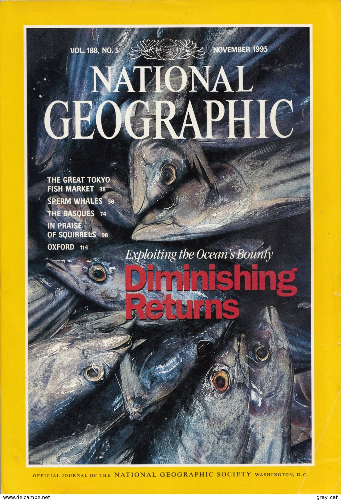 National Geographic Magazine Vol. 188, No. 5, November 1995 - Voyage/ Exploration