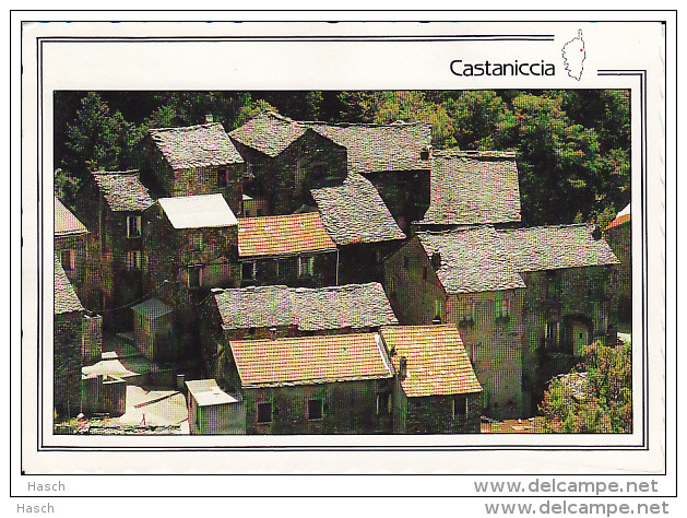 517. Castaniccia, (Corse) - Altri & Non Classificati