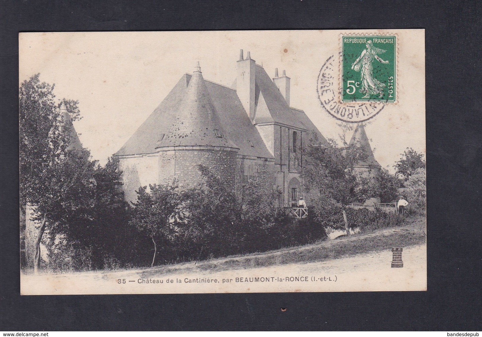 Vente Immediate Chateau De La Cantiniere Par Beaumont La Ronce - Beaumont-la-Ronce