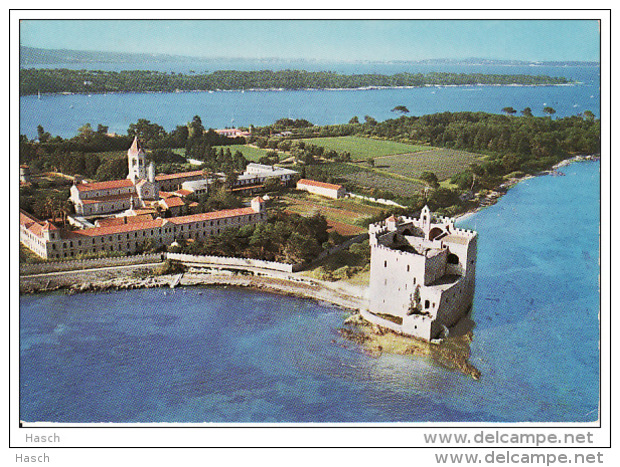 475. Iles De Lerins, L'Ile De Saint-Honorat, Monasti?re Et Chateau - Autres & Non Classés