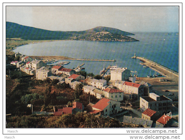 497. Corse, Maccinagio-Vue G?n?rale1976 - Autres & Non Classés