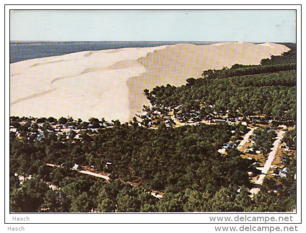 564aAu Pyla Sur Mer, Les Campings Et Le Bassin (pli L?g?re Miniscule Gauche - Sonstige & Ohne Zuordnung