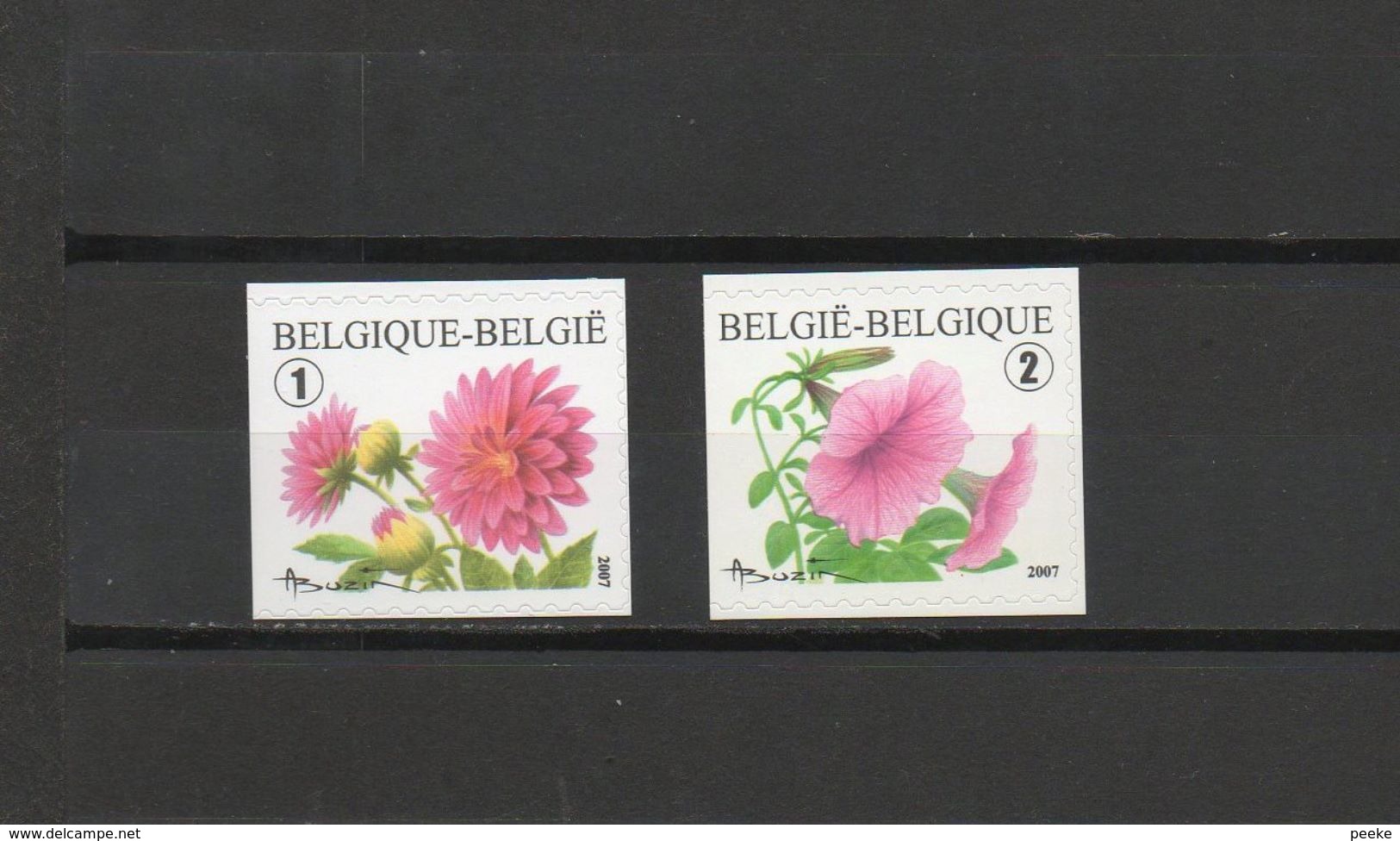 België Nrs. 3721/22 Xx -   Dahlia Petunia  (zegels Uit Boekjes B80/81)   - Postprijs - Neufs