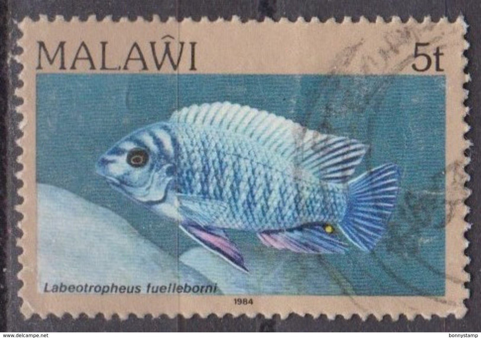 Malawi, 1984 - 5t Labeotropheus Fuelleborni - Nr.429 Usato° - Peces