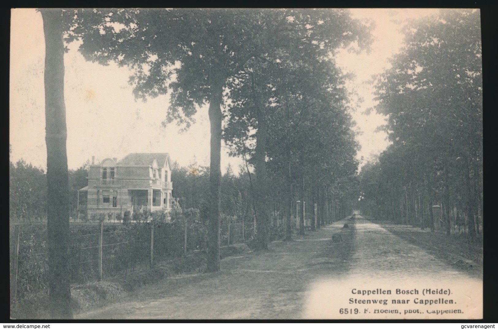 KAPELLEN - CAPPELLEN BOSCH ( HEIDE ) == STEENWEG NAAR CAPPELLEN - Kapellen