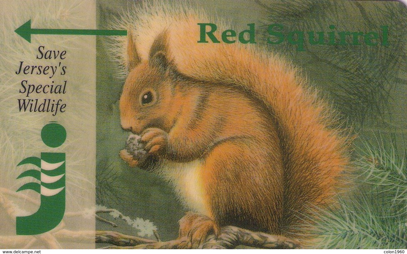 JERSEY ISLANDS. 24JERA. Save Jersey’s Wildlife. RED SQUIRREL. (417) - [ 7] Jersey Y Guernsey