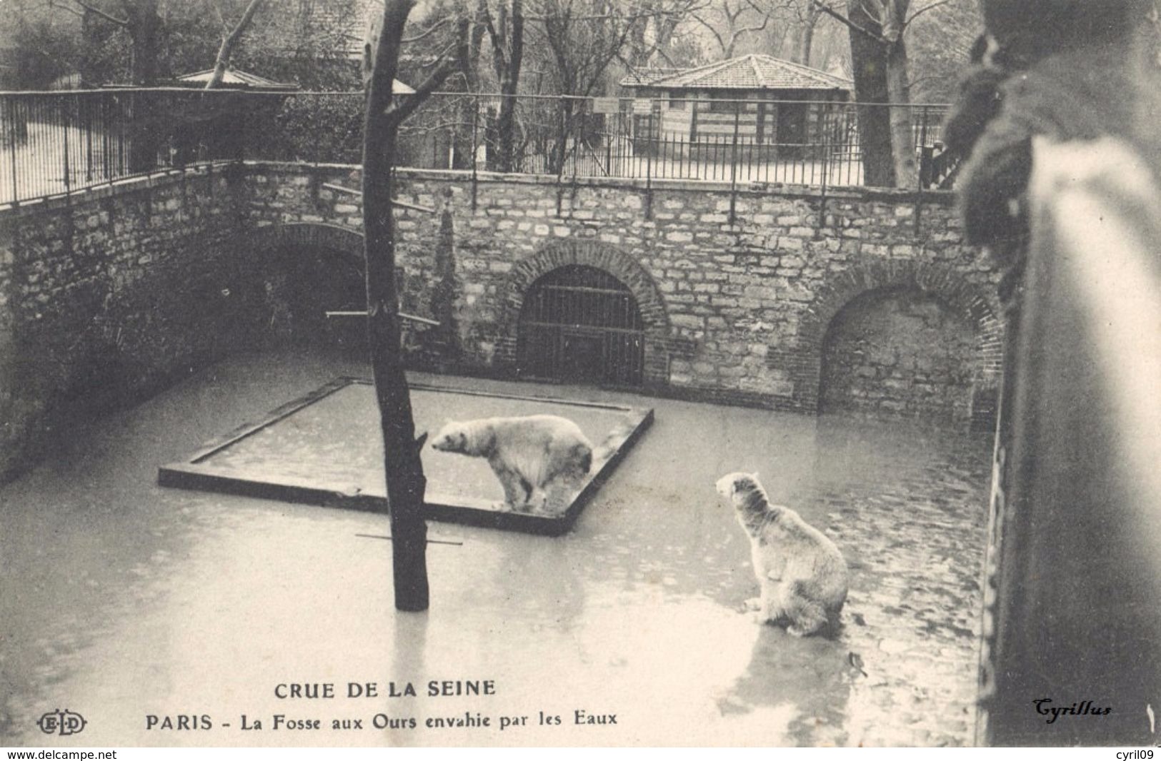 Crue De La Seine - Paris - La Fosse Aux Ours Envahie Par Les Eaux (éditeur ELD) - Inondations De 1910