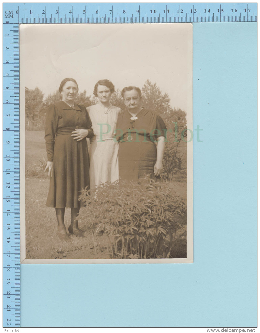 Grande  Photo D'époque - Trois Femmes Dans Un Jardin - Non Classés