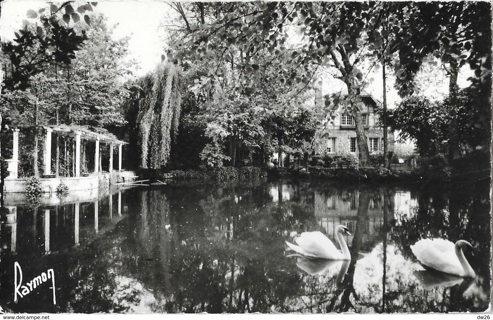 Villecresnes - Cygnes Sur L'Etang - Collection USSE - Carte Raymon Non Circulée - Villecresnes