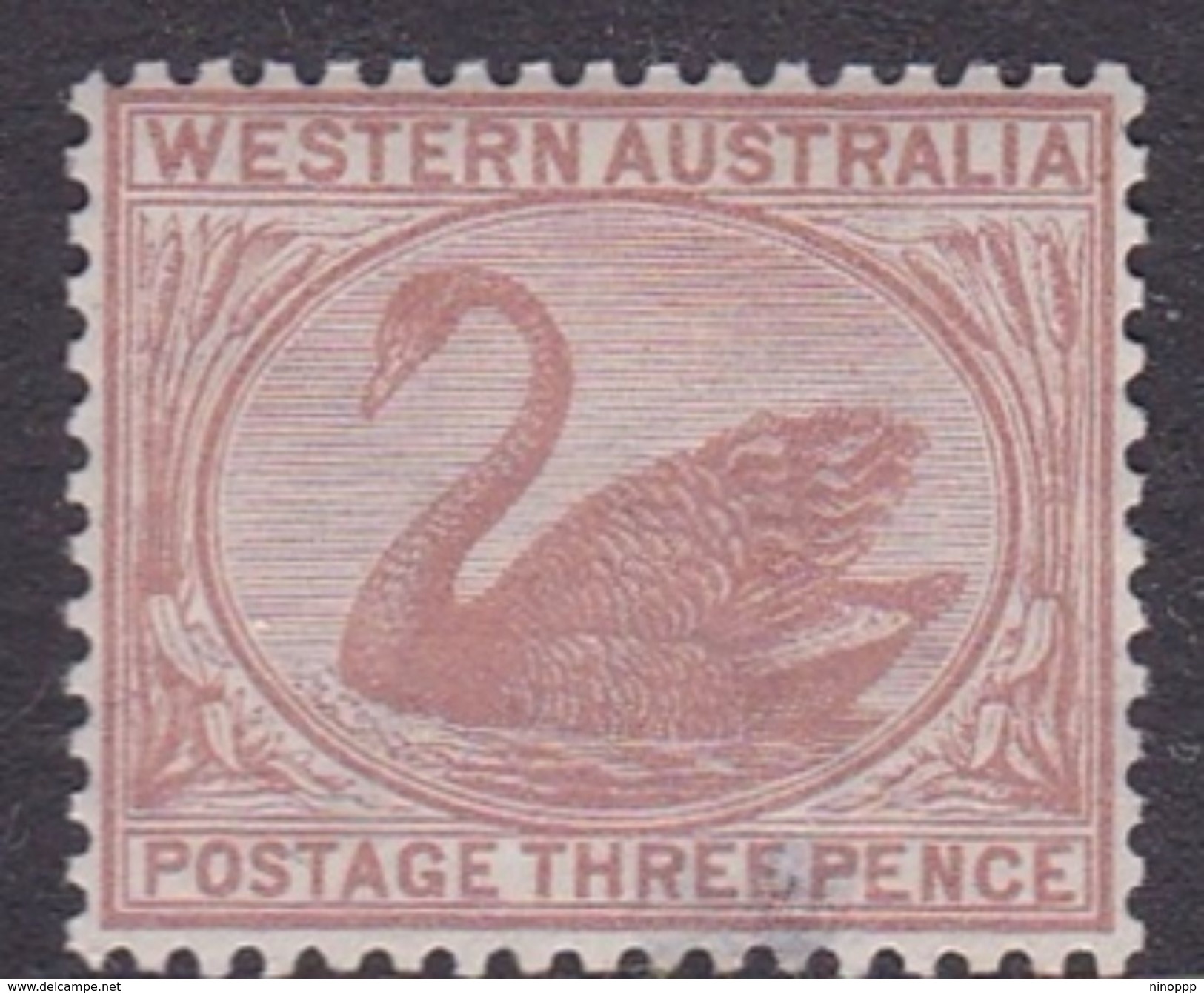 Western Australia ASC 15 1872 Three Pence Brown, Mint Hinged - Neufs