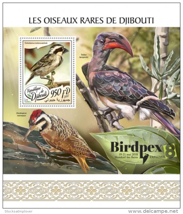 Djibouti 2017 Rare Birds - Djibouti (1977-...)