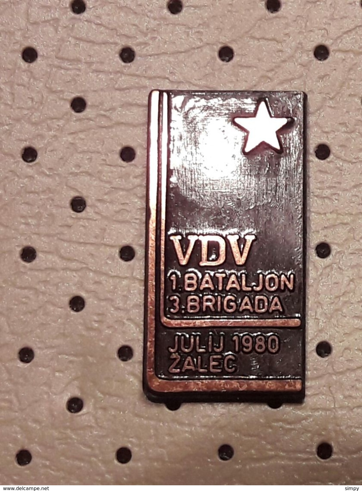 Partisan VDV 1. Battalion 3. Brigade Zalec World War II. Slovenia Ex YUgoslavia Pin - Army