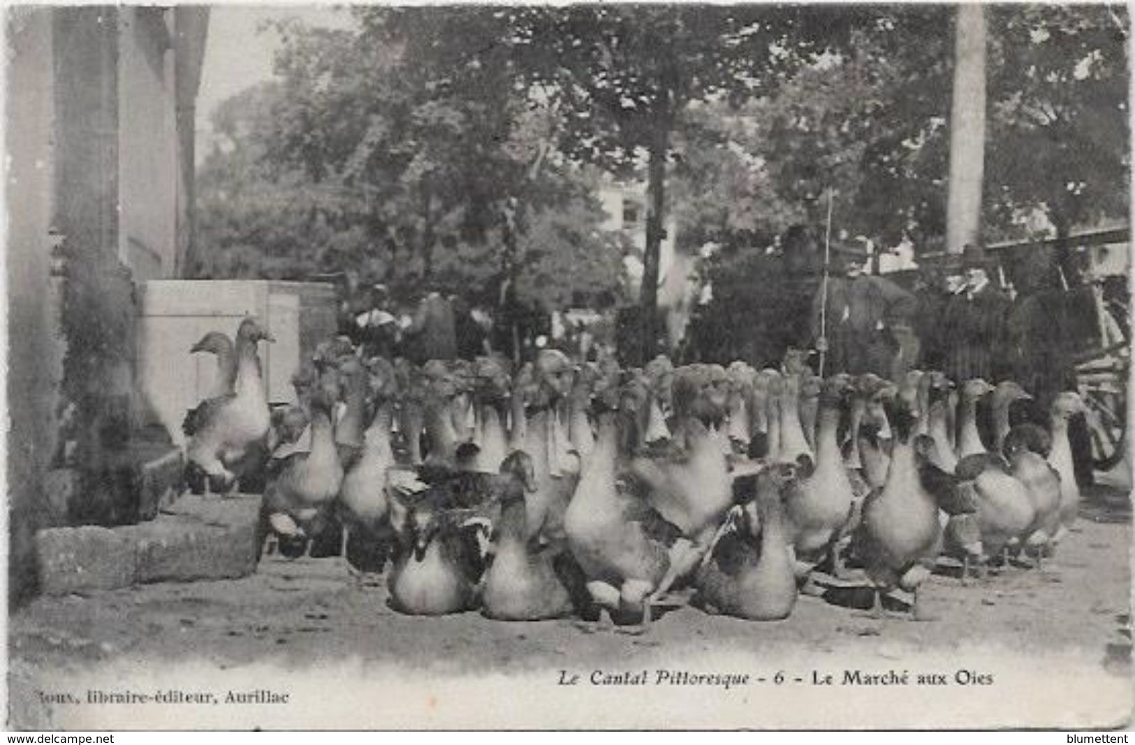 CPA Aurillac Cantal Auvergne Circulé Marché Aux Oies - Aurillac