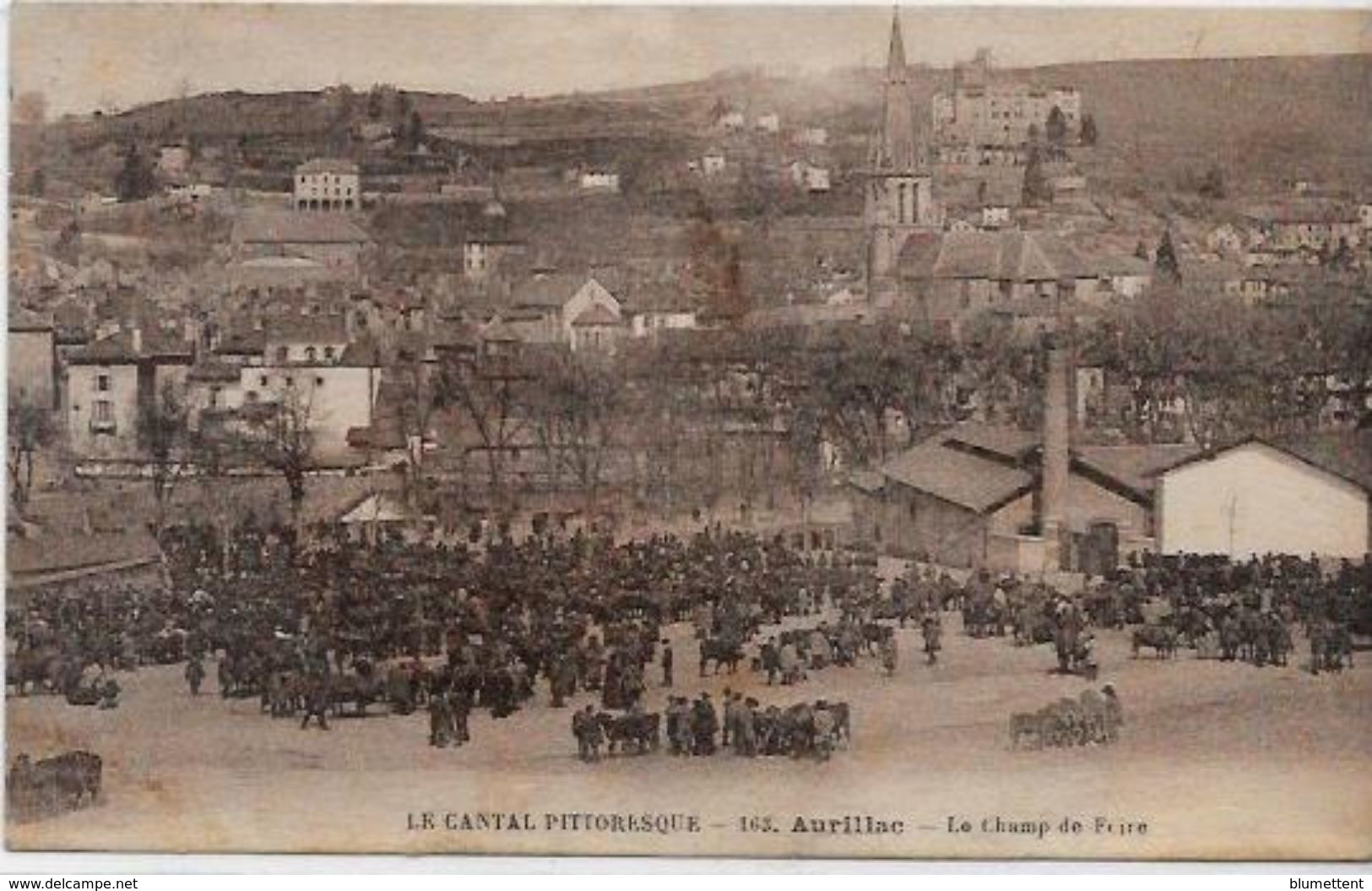 CPA Aurillac Cantal Auvergne écrite Marché Champ De Foire Bestiaux - Aurillac