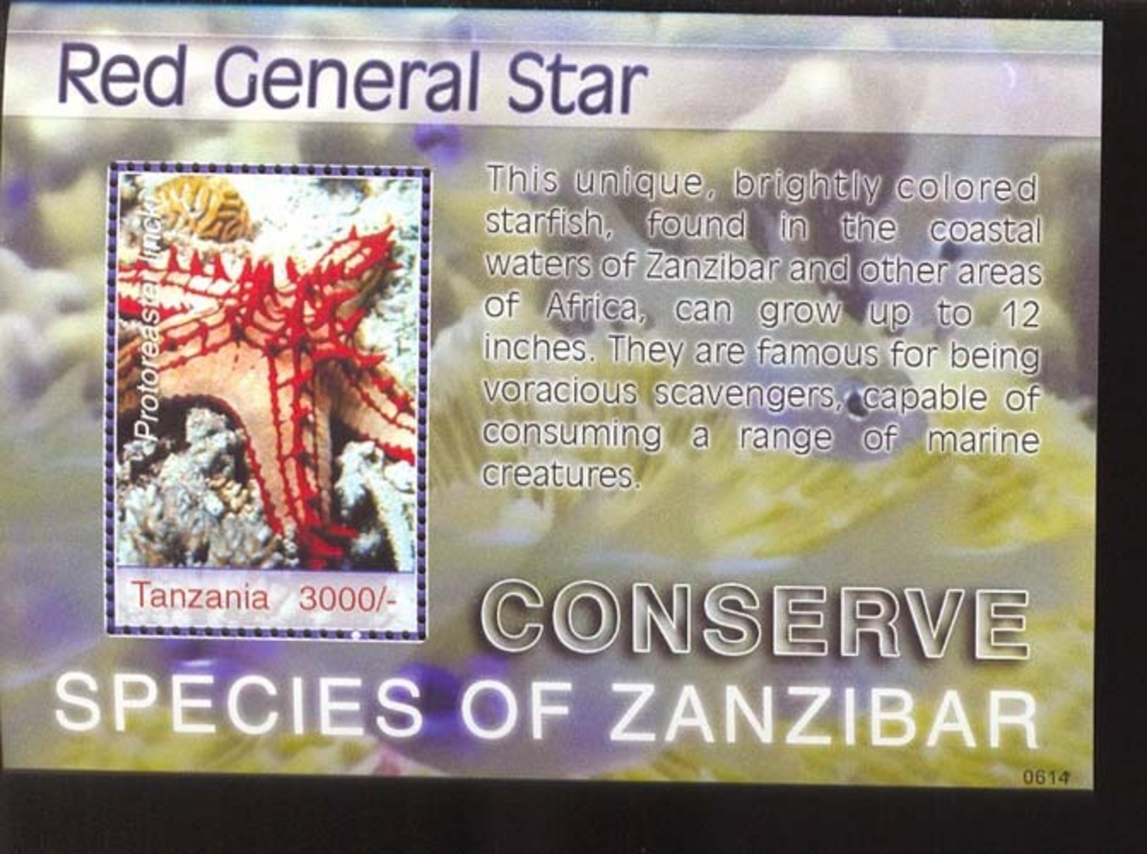 TANZANIA    2441 MINT NEVER HINGED SOUVENIR SHEET OF FISH-MARINE LIFE ; STAR FISH - Poissons