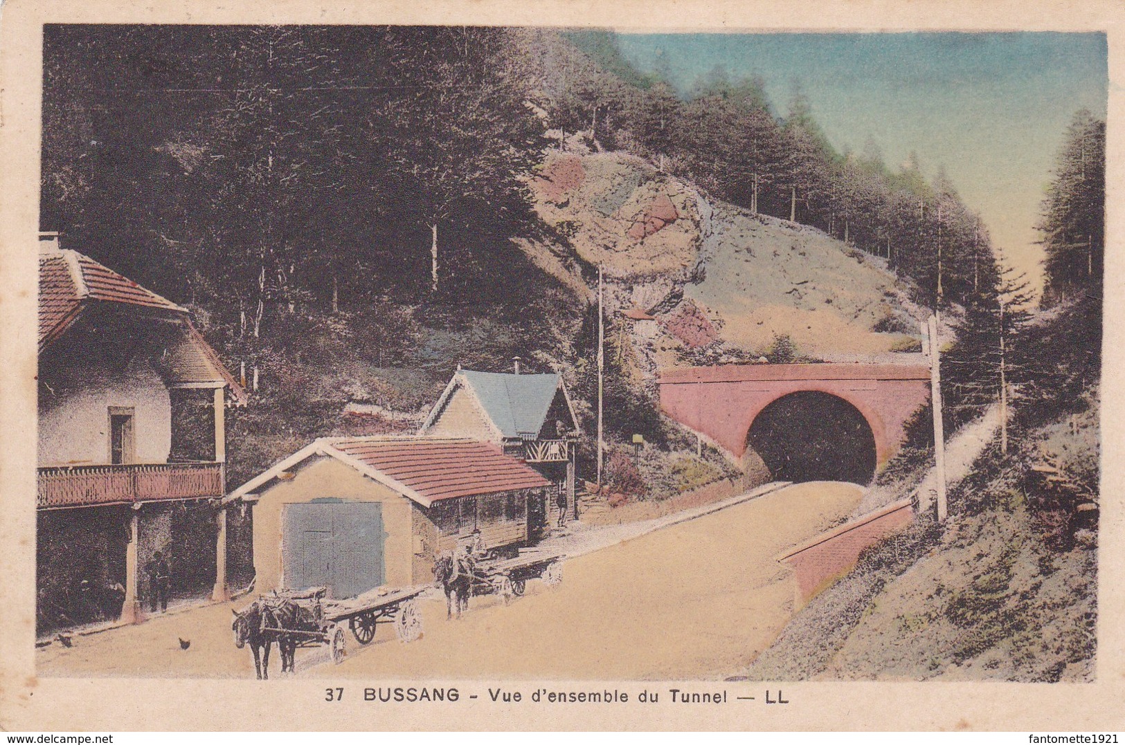 BUSSANG VUE D'ENSEMBLE DU TUNNEL/ATTELAGE DE CHEVAUX (dil334) - Bussang