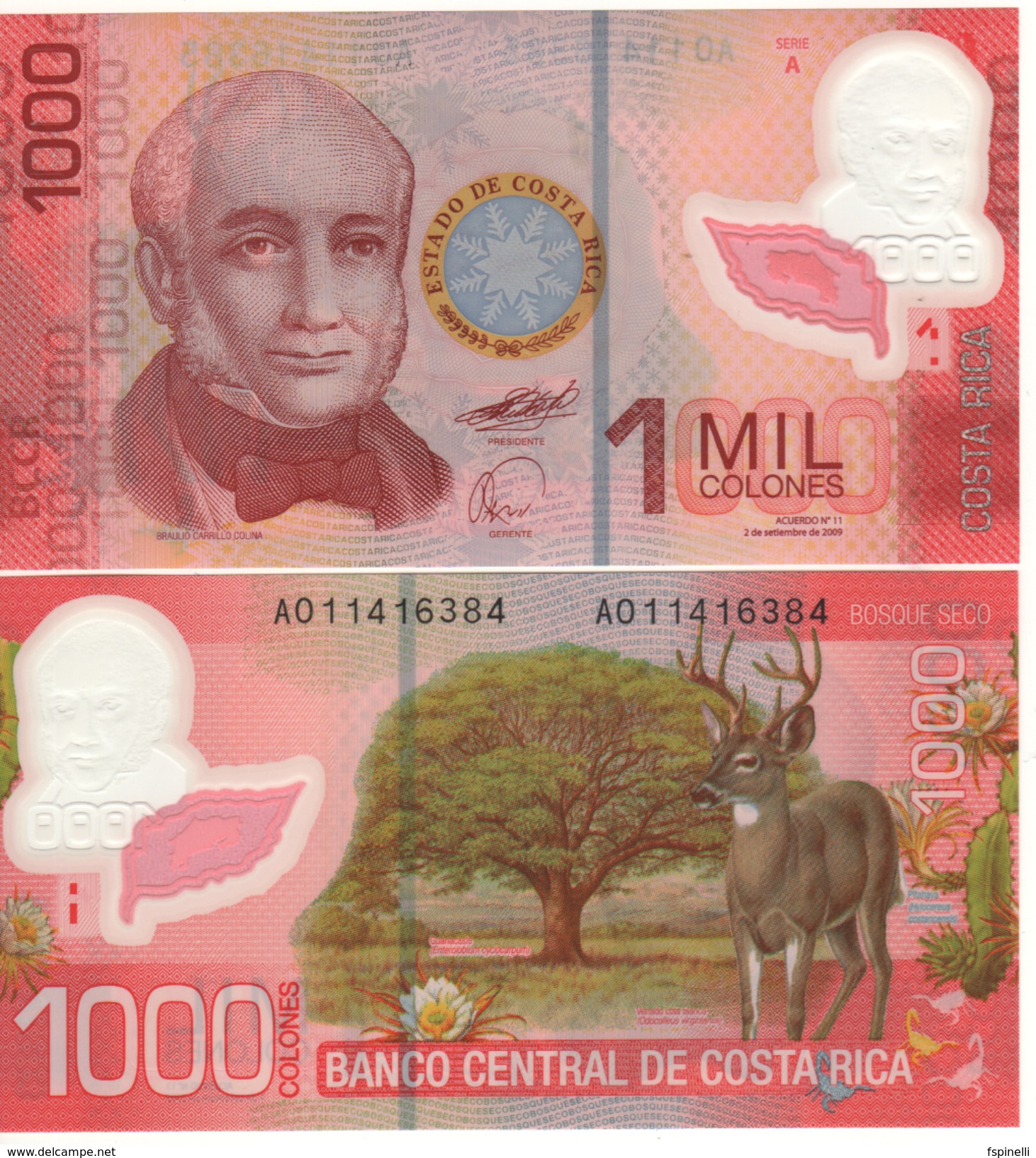 COSTA RICA   1'000  Colones   P274   Polimer   Dated 2-9-2009  UNC - Costa Rica