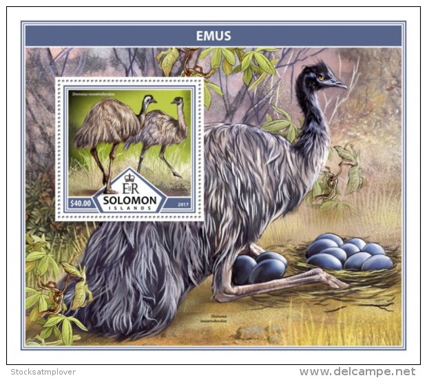 SOLOMON ISLANDS 2017 Emus - Solomoneilanden (1978-...)