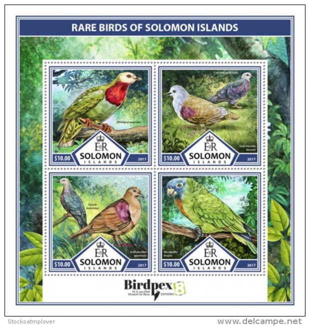 SOLOMON ISLANDS 2017 Rare Birds - Solomoneilanden (1978-...)