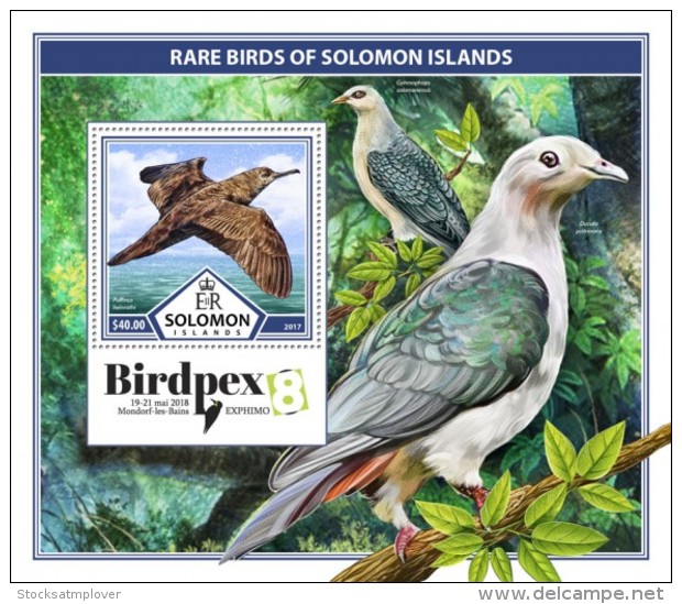 SOLOMON ISLANDS 2017 Rare Birds - Salomon (Iles 1978-...)