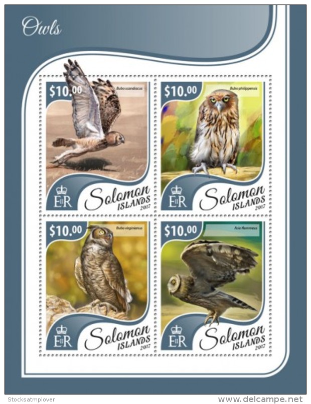 SOLOMON ISLANDS 2017 Owls - Salomon (Iles 1978-...)