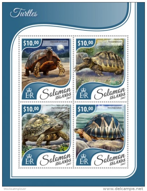 SOLOMON ISLANDS 2017 Turtles - Salomoninseln (Salomonen 1978-...)