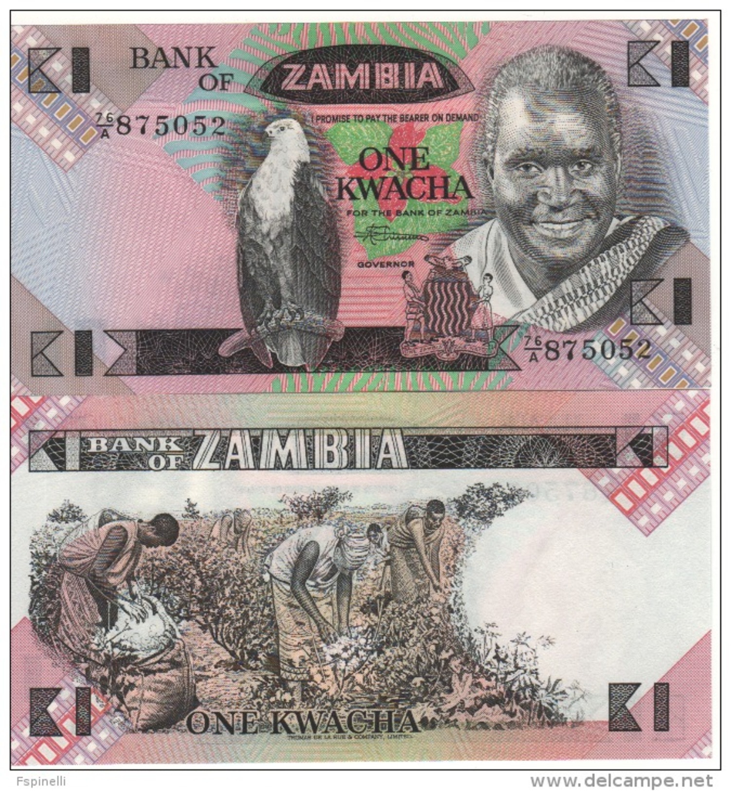 ZAMBIA   1  KWACHA      P23a     ND  1980-88   UNC - Zambia