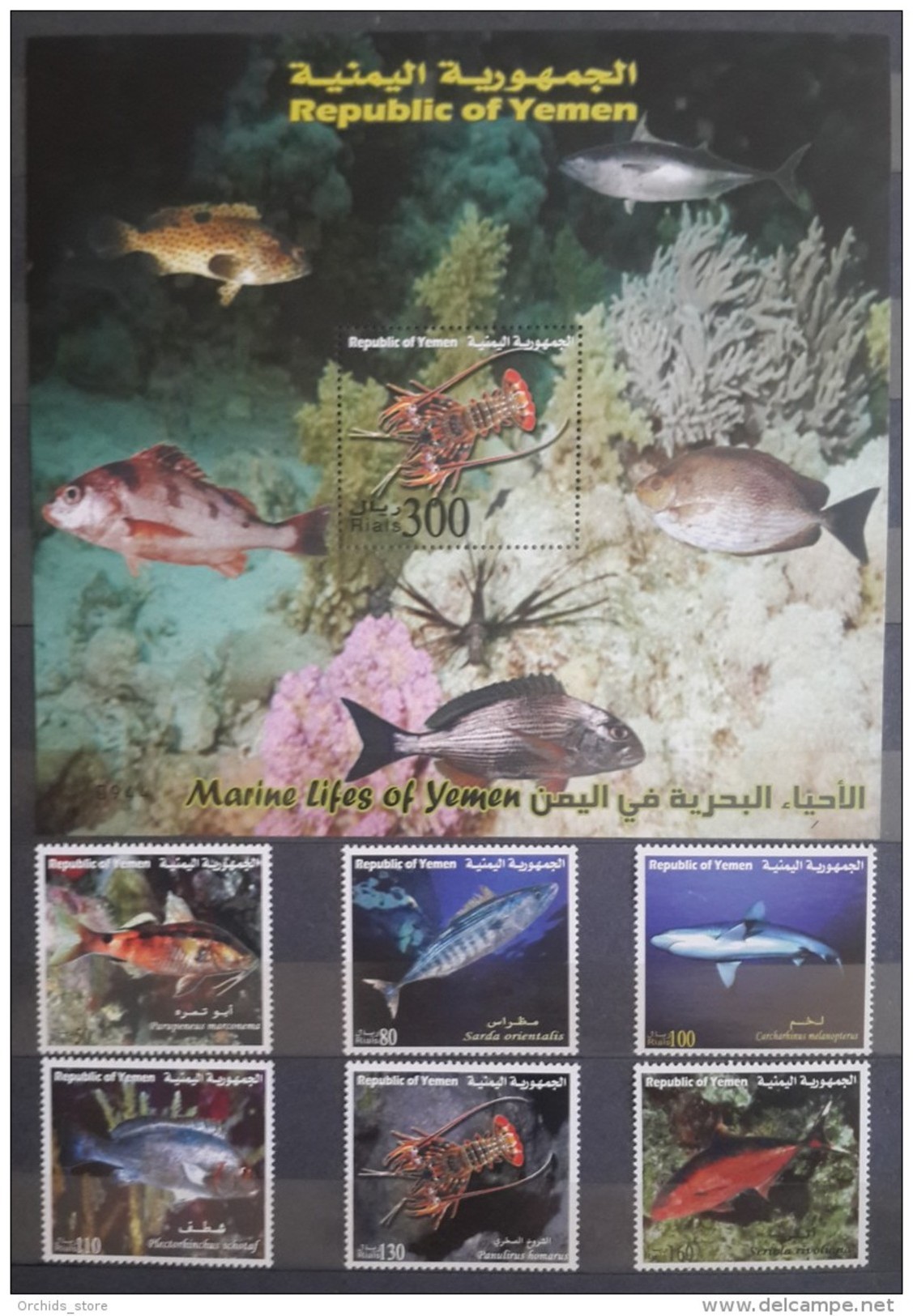 Q23 - Yemen 2007 Mi. 351-356 & Block 51 Complete Set 6v. + Large S/S MNH -  Marine Life, Fishes - Yemen