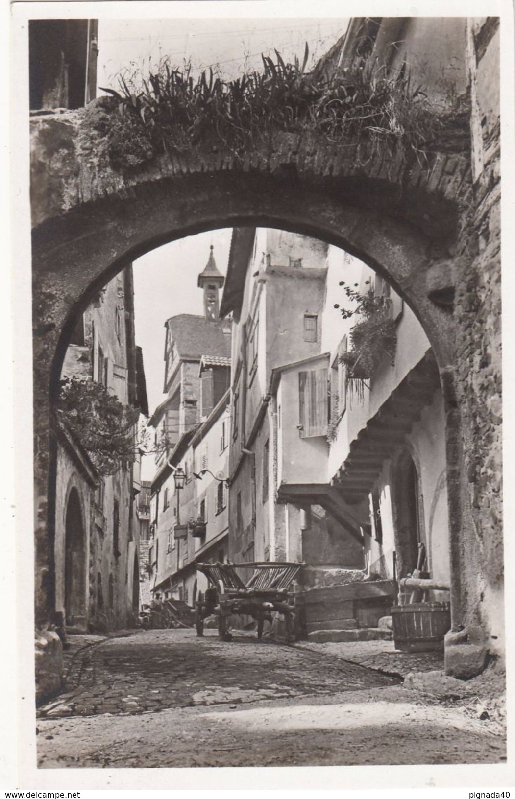 Cp , 68 , RIQUEWHIR , La Rue Aux Juifs - Riquewihr