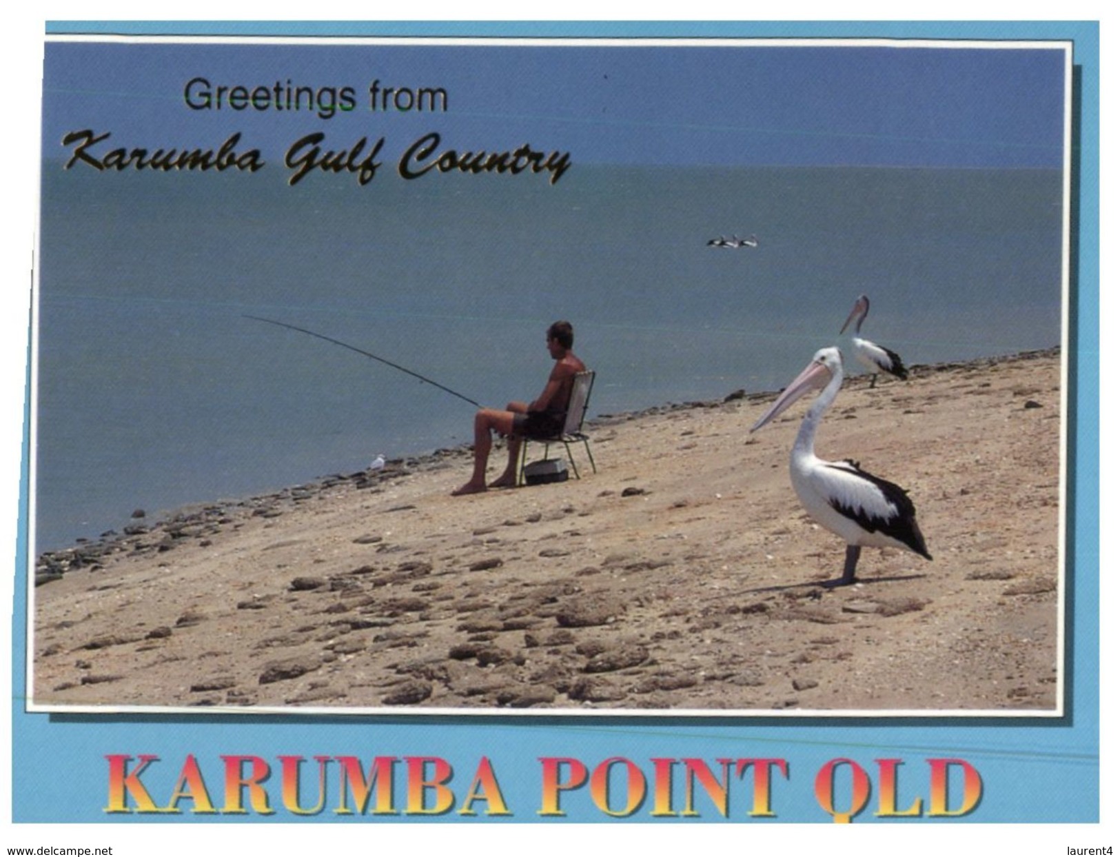 (300) Australia - QLD - Kurumba Point Fisherman And Pelican - Far North Queensland