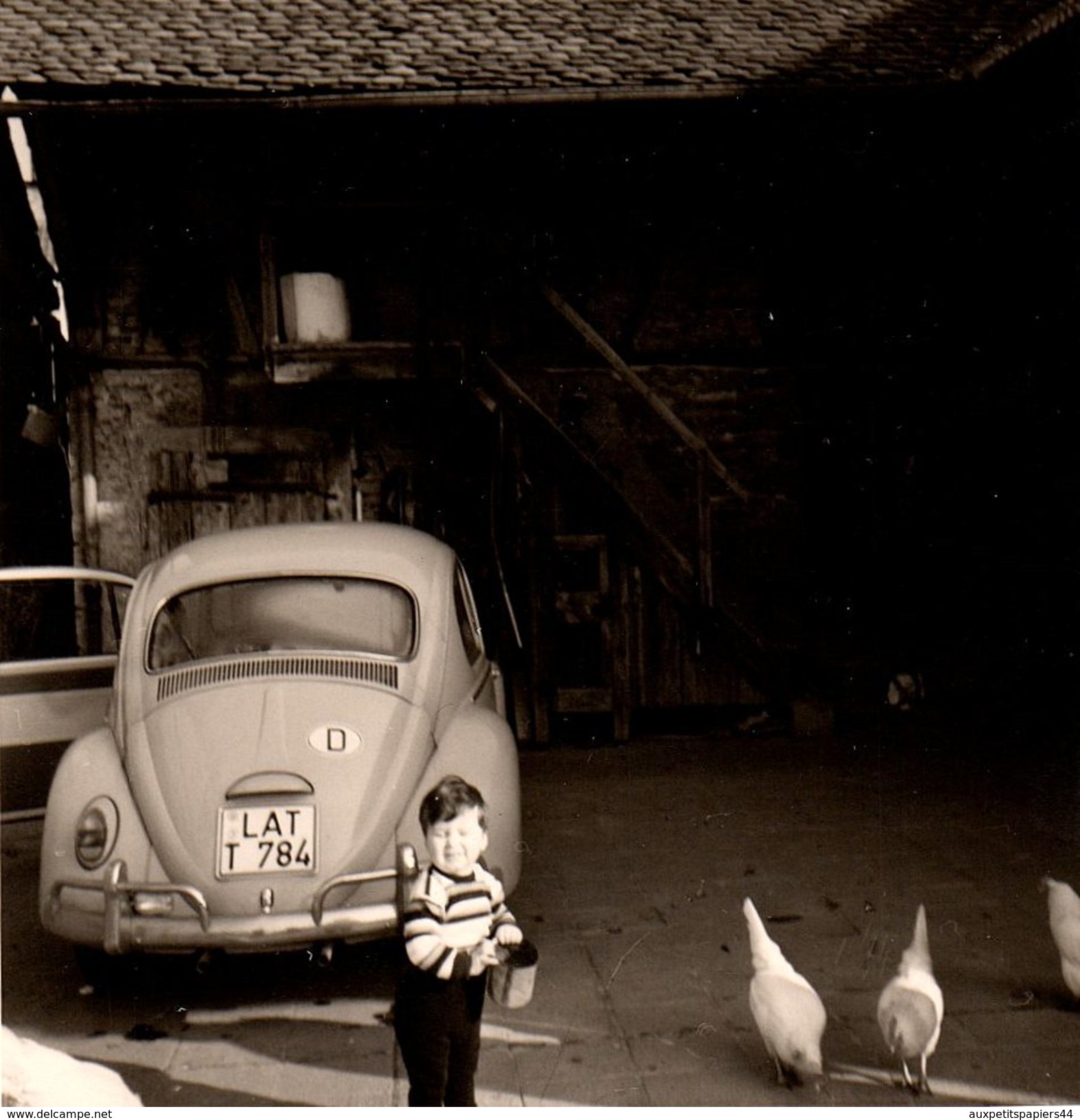 Photo Carrée Bords Blancs Originale Volkswagen Coccinelle, Beetle, Käfer à La Ferme & Gamin Nourrissant Les Poules 1960 - Personnes Anonymes