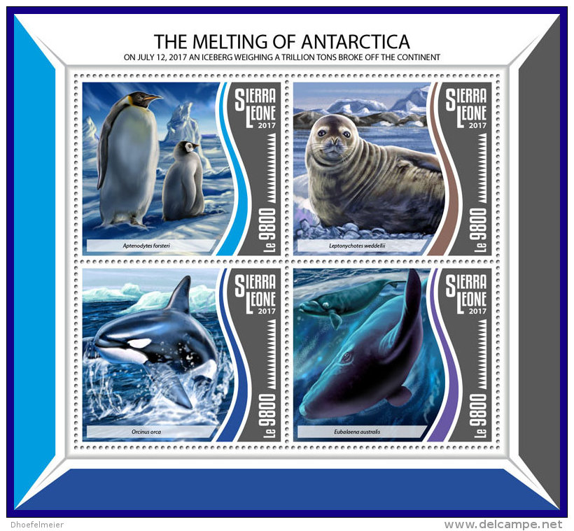 SIERRA LEONE 2017 ** Whale Wale Baleines Melting Of Antarctica M/S - IMPERFORATED - DH1742 - Wale