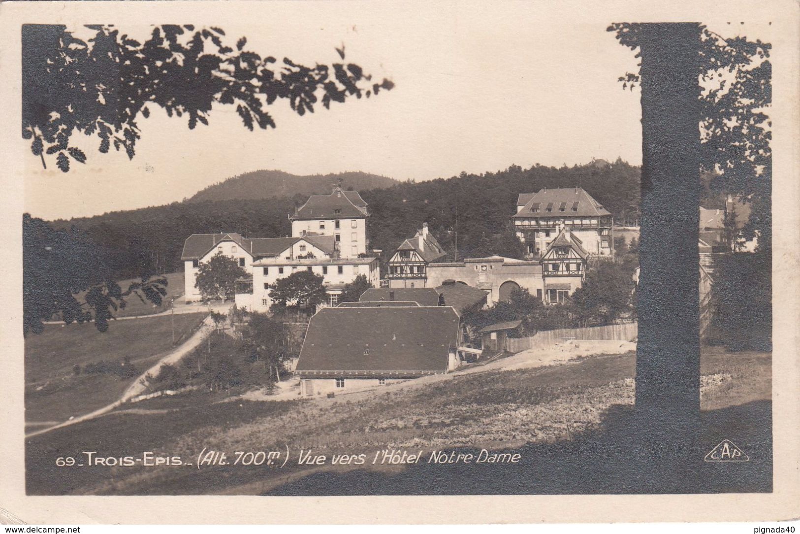 Cp , 68 , TROIS-ÉPIS , (alt. 700 M.), Vue Vers L'Hôtel Notre-Dame - Trois-Epis