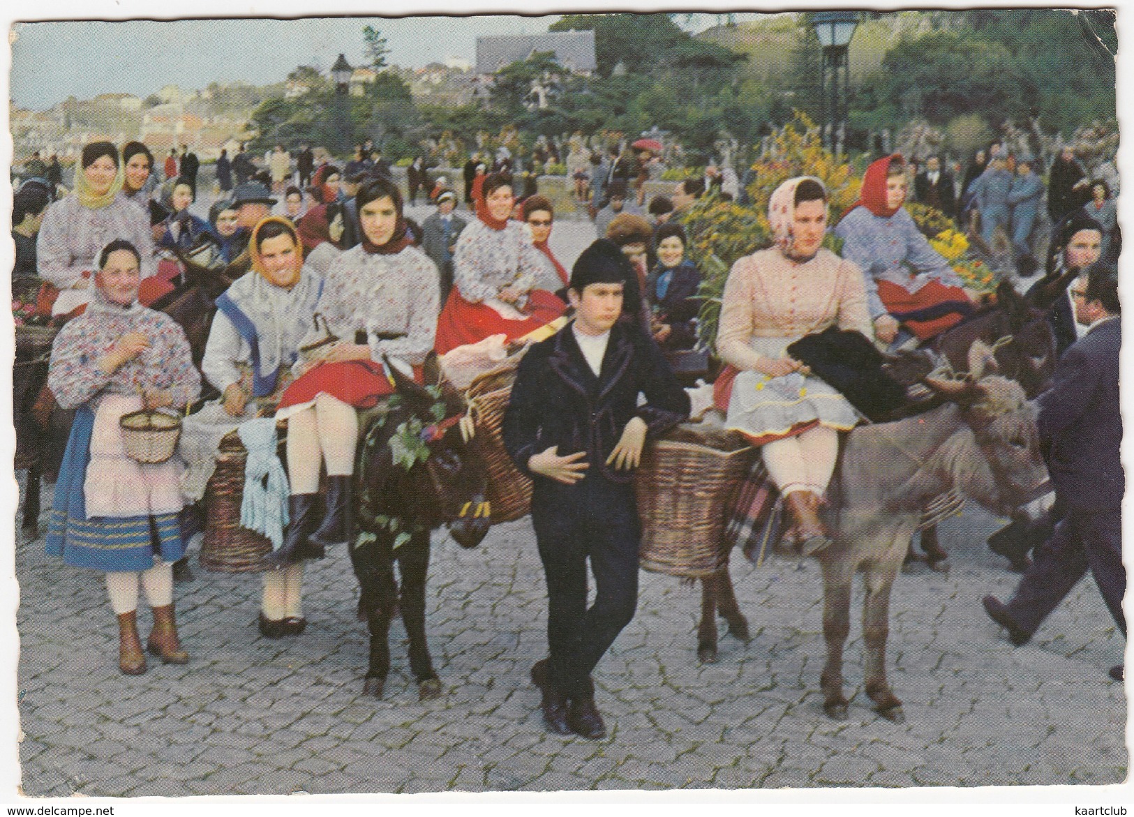 Sintra - Trajos Regionais De Sintra / National Costumes / Volkstrachten - Burro/Ane/Esel/Donkey - (Portugal) - Lisboa