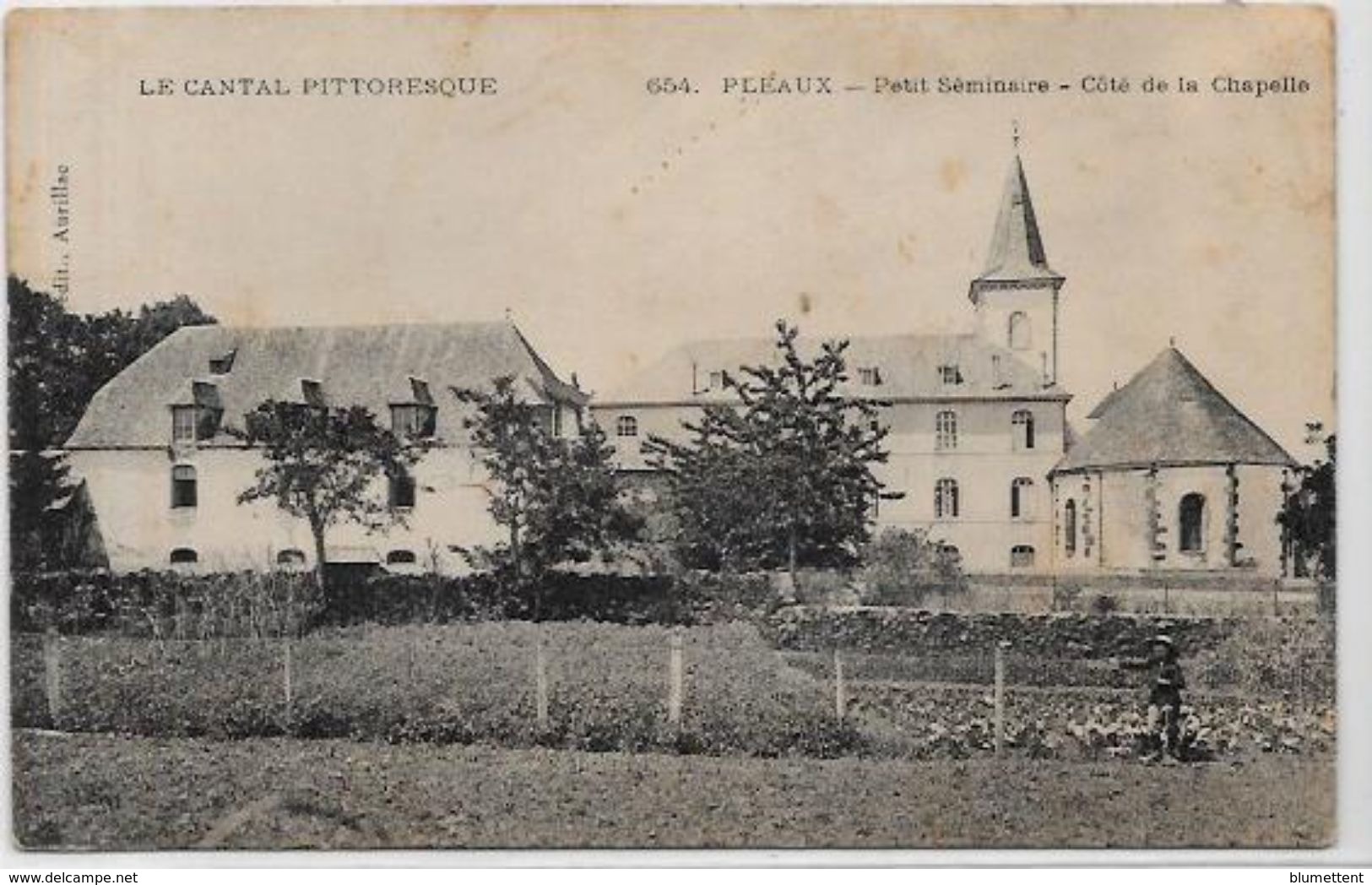 CPA Cantal Auvergne Circulé Pléaux - Autres & Non Classés