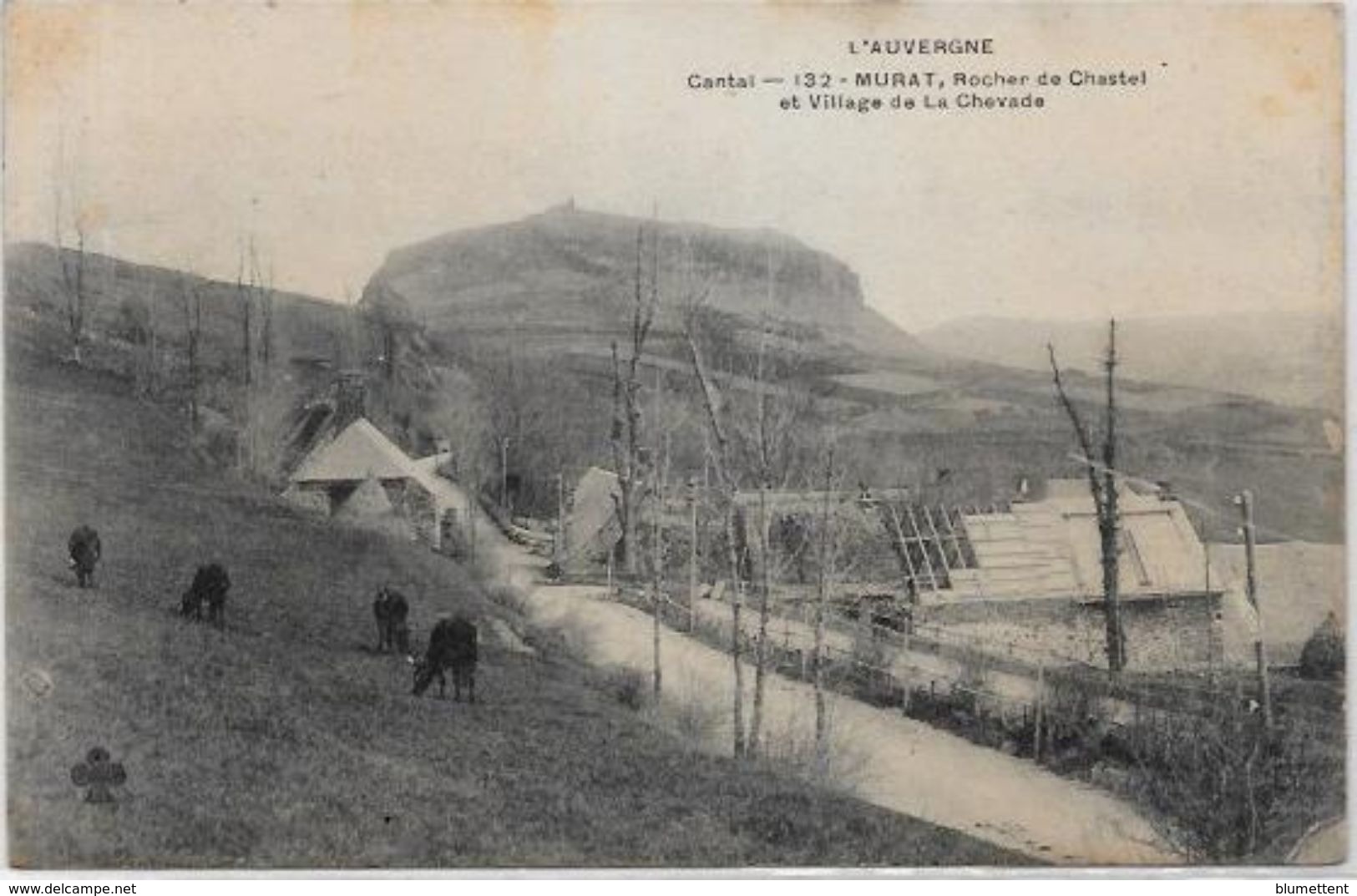 CPA Cantal Auvergne Circulé Murat - Murat