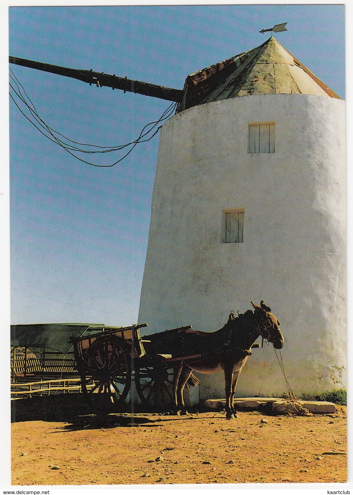 Mühlenturm In Odeáxere - Esel/Burro/Ane/Donkey - (Reisebilder Portugal Algarve Von Werner Scharnweber) - Faro