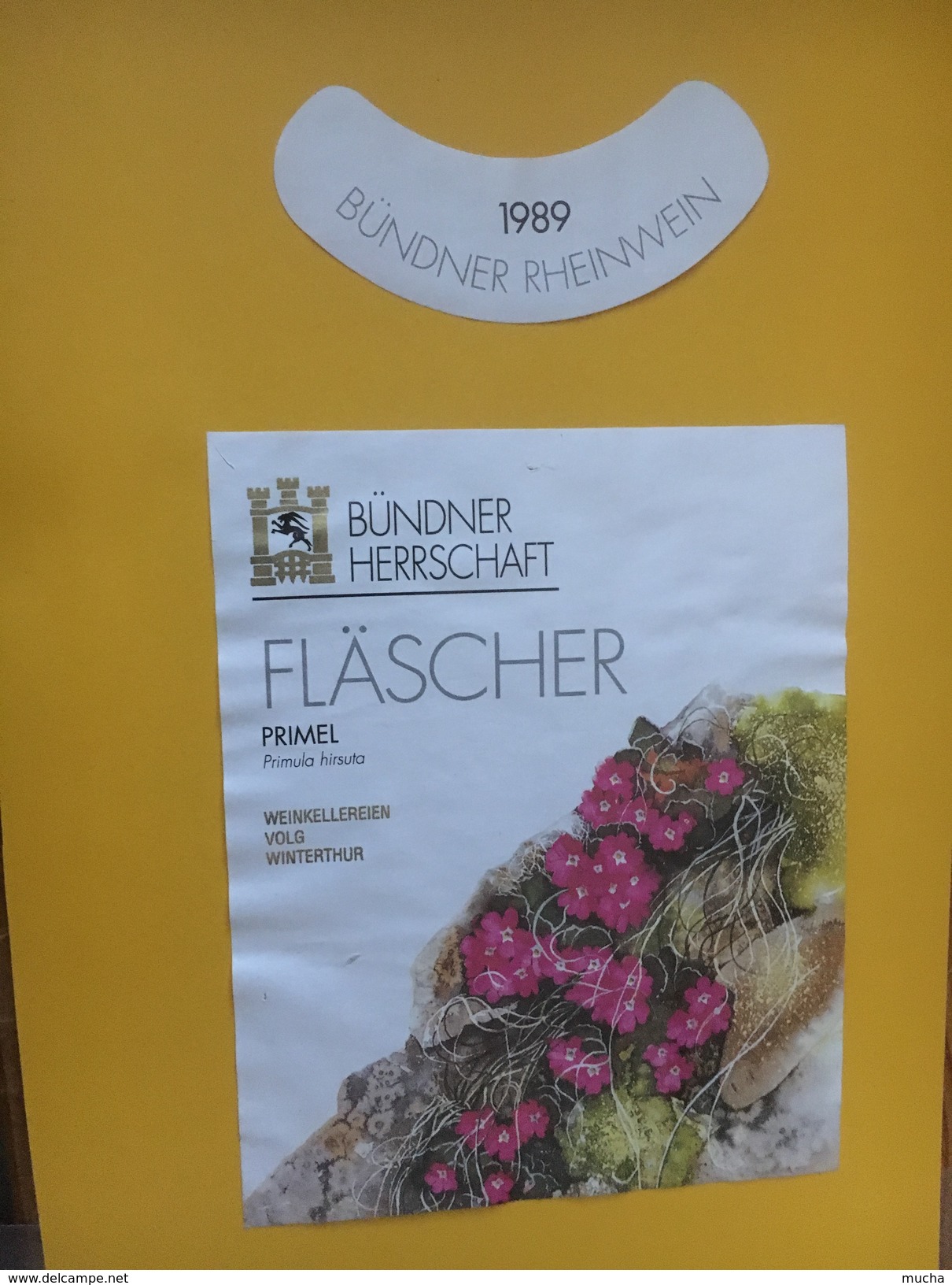 5548 - Bündner Herrschaft Fläscher 1989 Primel Primula Hirsuta Primevère Hirsute - Fleurs