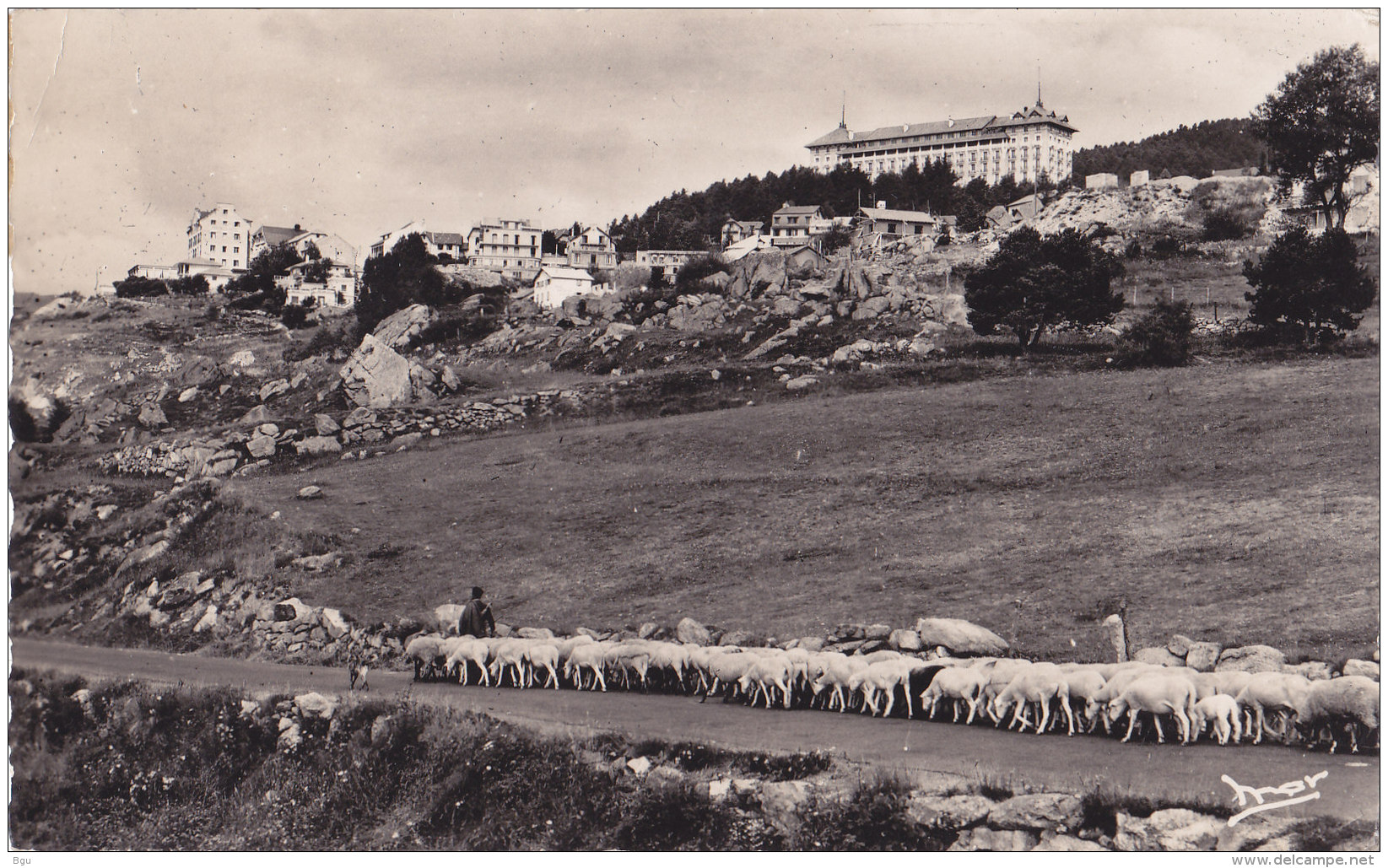 Font Romeu (66) - Transhumance - Autres & Non Classés