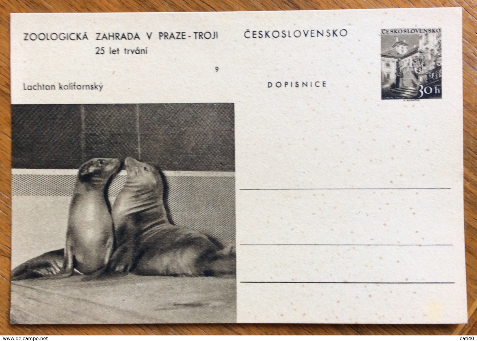 ZOOLOGIA ANIMALI FOCHE SU CARTOLINA POSTALE CECOSLOVACCHIA - Congo Francese