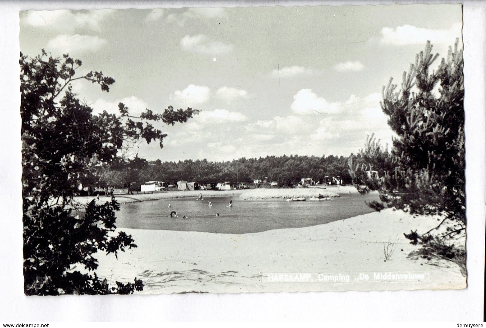 43628 - CAMPING DE MIDDEN VELUWE HARSKAMP - Ede