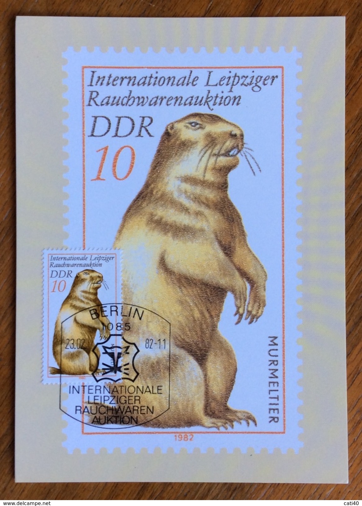 ZOOLOGIA ANIMALI  MARMOTTA  SU CARTOLINA DELLE GERMANIA ORIENTALE DEL 1982 - Congo Francese