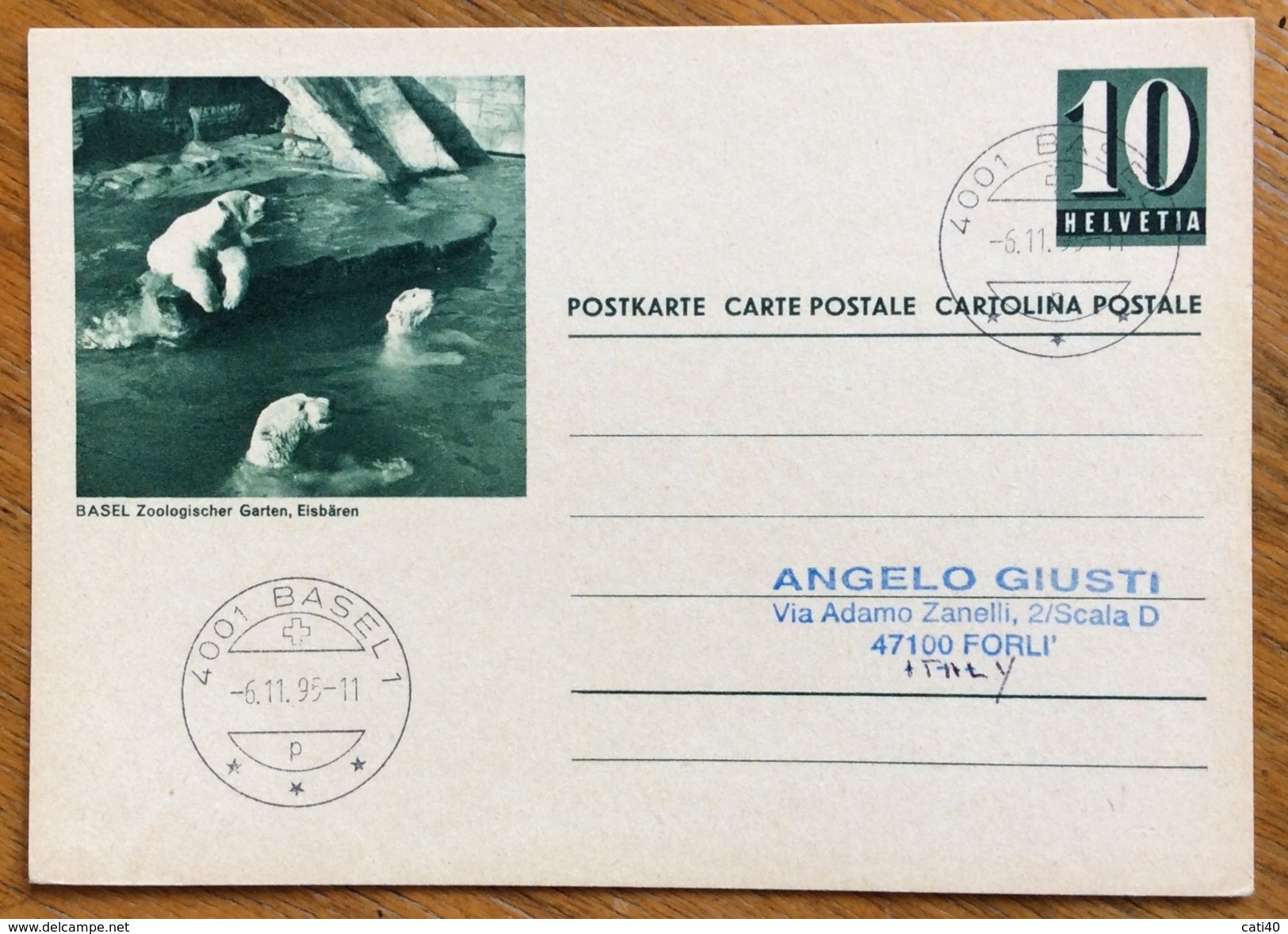 ZOOLOGIA ANIMALI ORSI BIANCHI  SU CARTOLINA POSTALE SUISSE VIAGGIATA 1995 - Congo Francese