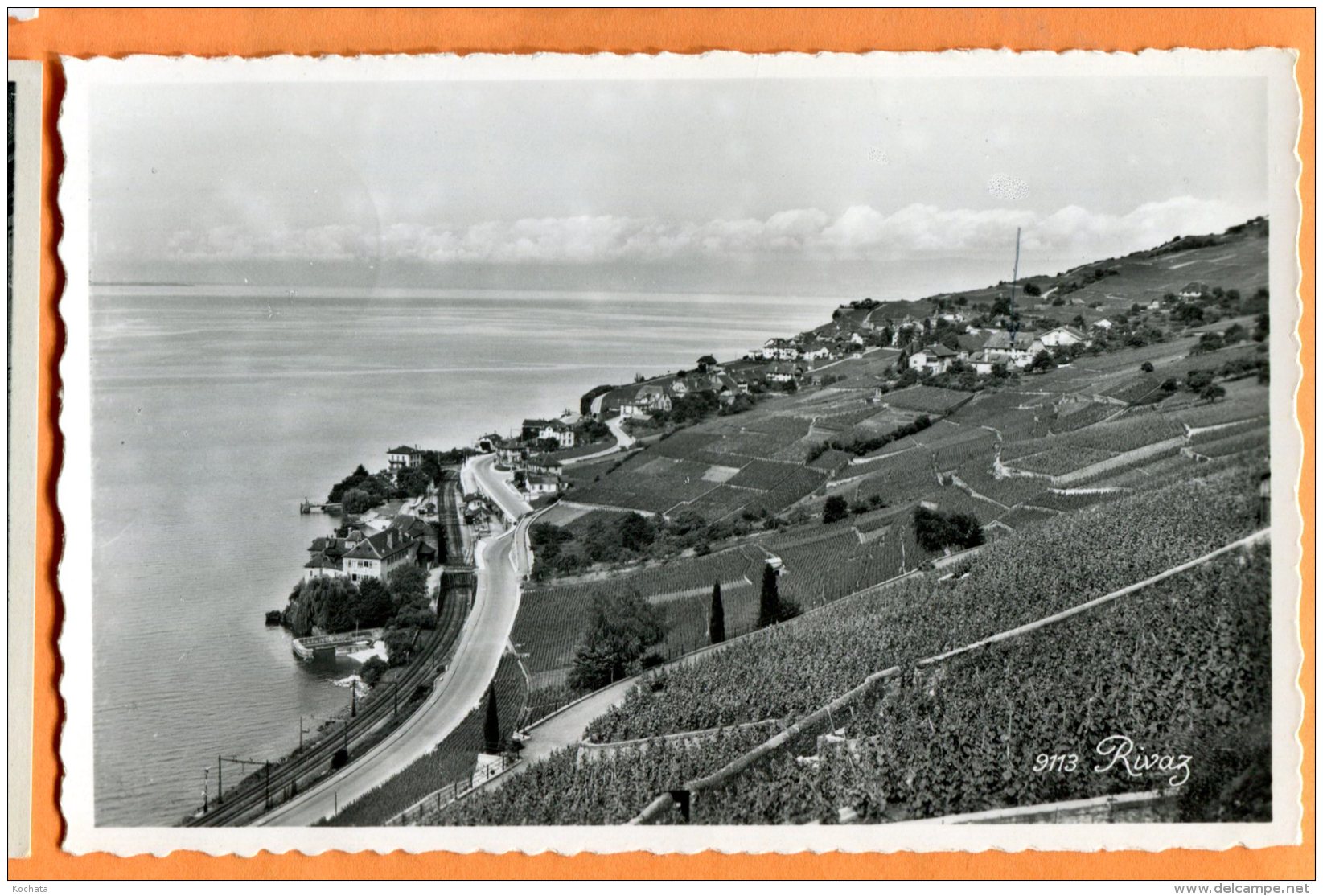 ALB450, Rivaz, 9113, Lac Léman, Chemin De Fer, édit. Perrochet, Circulée 1960 - Rivaz