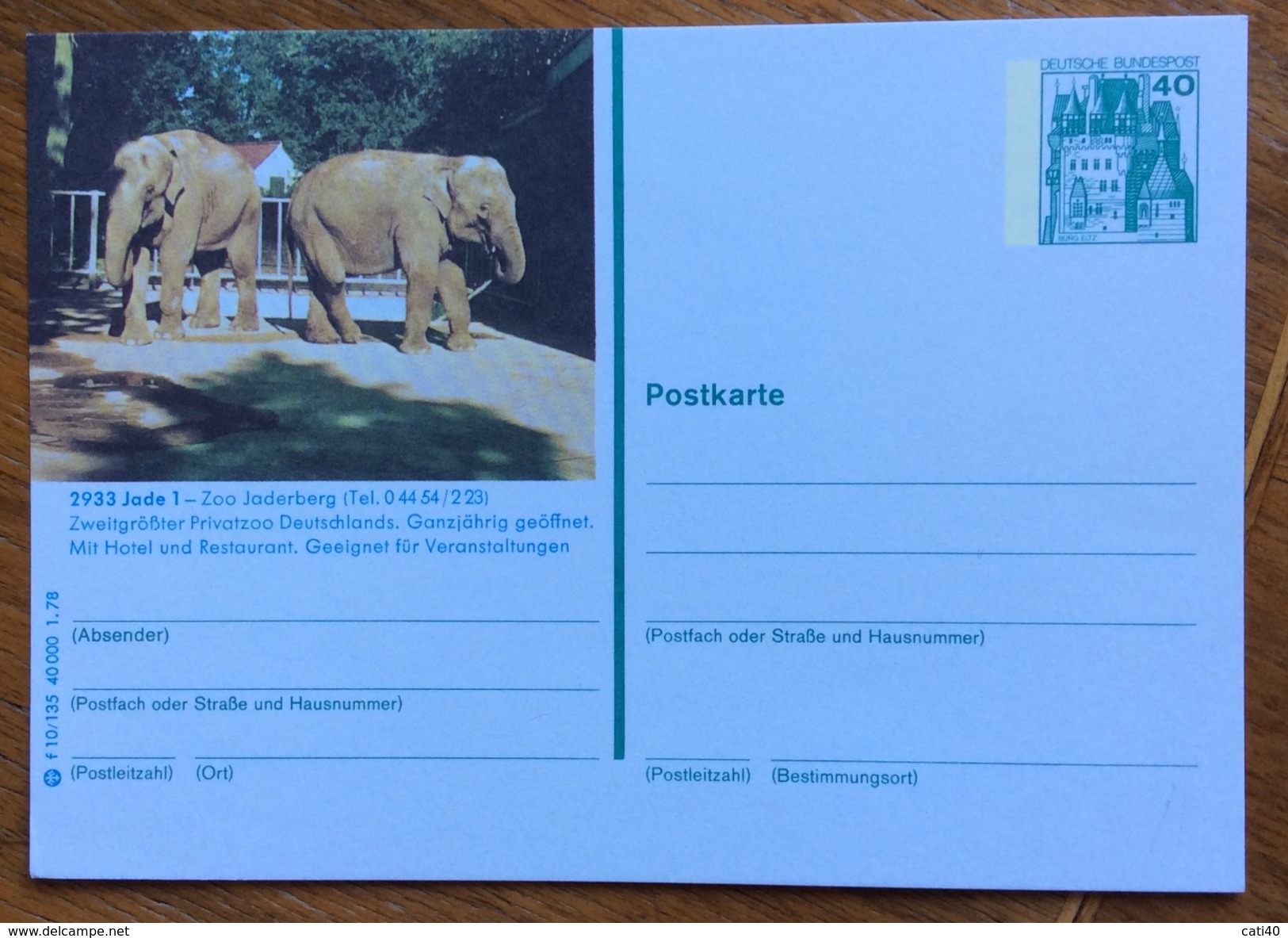 ZOOLOGIA ANIMALI ELEFANTI SU CARTOLINA POSTALE GERMANIA  NUOVA - Congo Francese